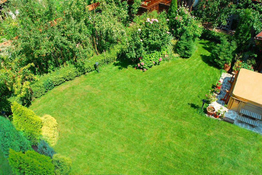Guest House Chicho Tsane Bansko Exteriér fotografie